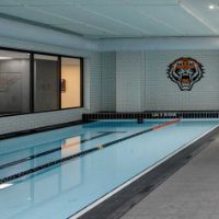 Concord Oval West Tigers