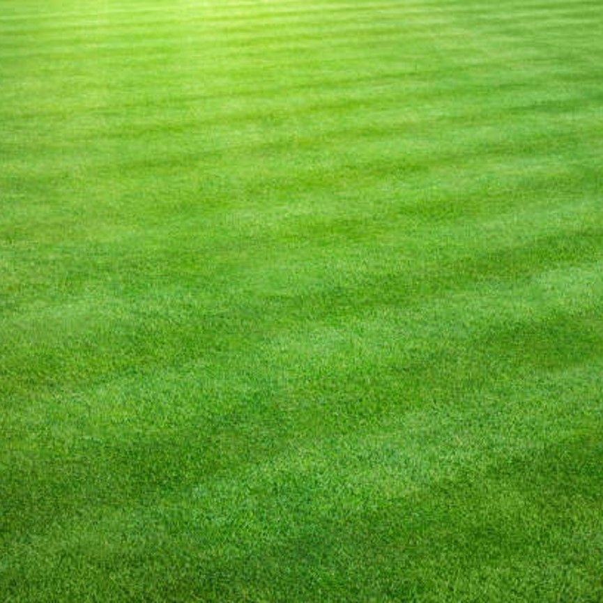 Heffron Park South Sydney Rabbitohs